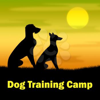 Dog Training Camp Indicating Trainer Coach And Dogs