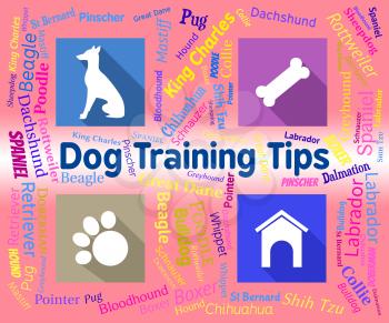 Dog Training Tips Showing Purebred Instructing And Canines