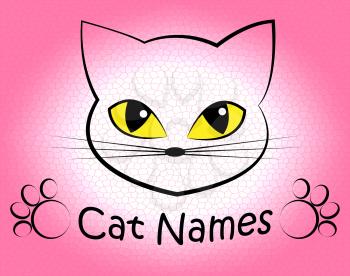 Cat Names Showing Pet Felines And Kitty