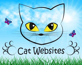 Cat Websites Representing Internet Kitten And Pet