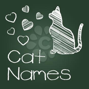 Cat Names Meaning Pets Pet And Kitty