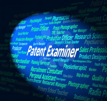 Patent Examiner Showing Performing Right And Job