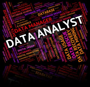 Data Analyst Meaning Bytes Fact And Analyze