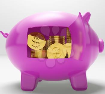 Dollar Coins Piggy Showing Prosperity And Security