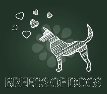 Breeds Of Dogs Showing Pets Reproduce And Offspring