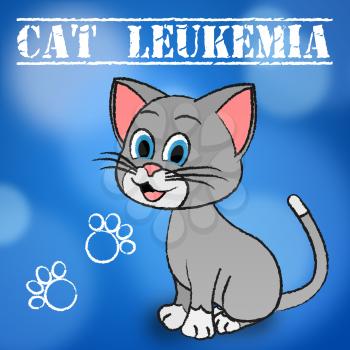 Cat Leukemia Meaning Bone Marrow And Pet