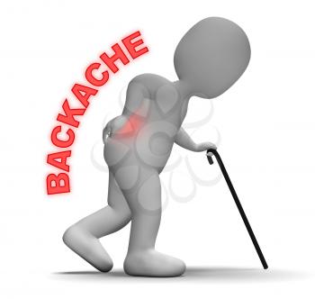 Backache Pain Meaning Vertebral Column And Chiropractor 3d Rendering