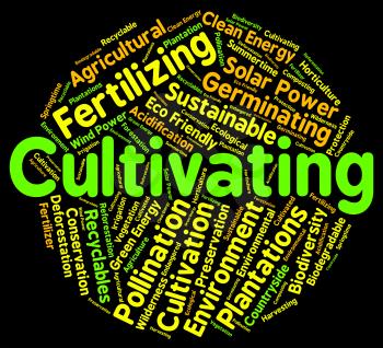 Cultivating Word Indicating Sowing Cultivate And Cultivated