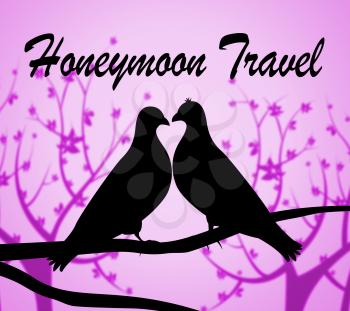 Honeymoon Travel Representing Vacation Destinations And Trips