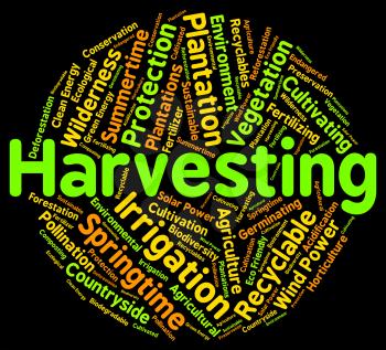 Harvesting Word Showing Produce Gathering And Gather