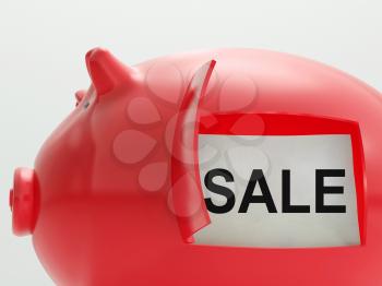 Sale Piggy Bank Showing Reduced Price And Bargains