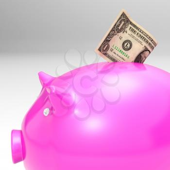 Dollar Entering Piggybank Showing Savings And American Incomes