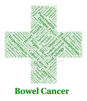 Bowel Cancer Representing Large Intestines And Disease