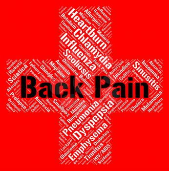Back Pain Meaning Disability Disorders And Afflictions