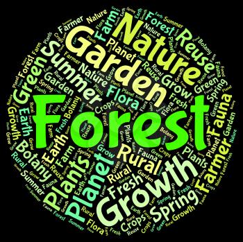 Forest Word Showing Words Forested And Jungle