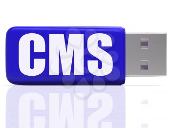 CMS Pen drive Meaning Content Optimization Storing Or Data Traffic