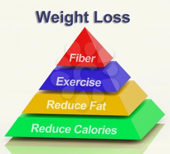 Weight Loss Pyramid Showing Fiber Exercise Fat And Reducing Calories