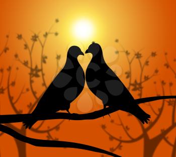 Love Birds Indicating Adoration Dating And Romance