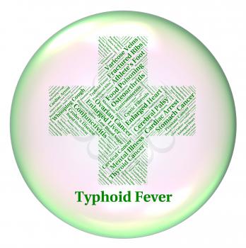 Typhoid Fever Representing Symptomatic Bacterial Infection And Salmonella Typhi
