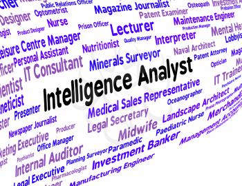 Intelligence Analyst Representing Intellectual Capacity And Analysts