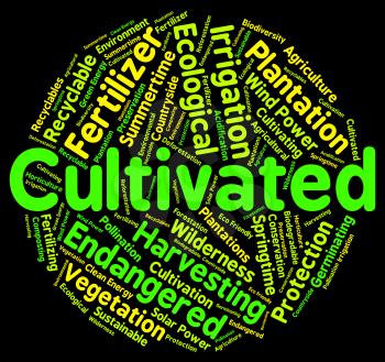Cultivated Word Indicating Growing Grow And Farming