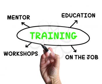Training Diagram Showing Mentorship Education And Job Preparation