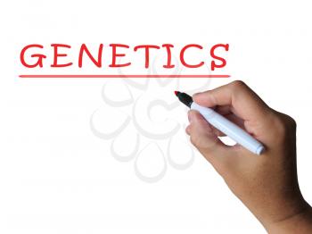 Genetics Word Showing Genetic Makeup And Anatomy