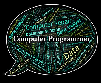 Computer Programmer Representing Software Engineer And Text