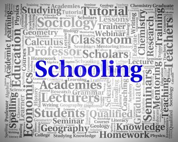Schooling Word Meaning Words Learn And Study