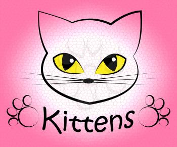 Kittens Word Showing Cat Kitty And Pet