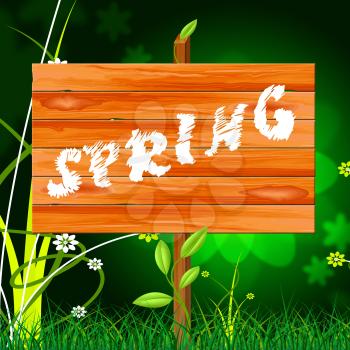 Nature Spring Representing Green Warm And Countryside