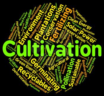 Cultivation Word Meaning Sows Cultivates And Sowing