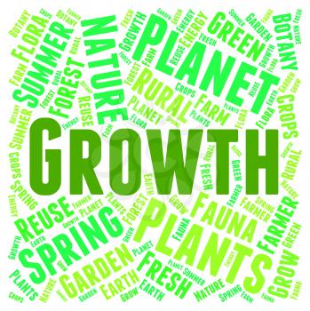 Growth Words Showing Cultivation Text And Growing