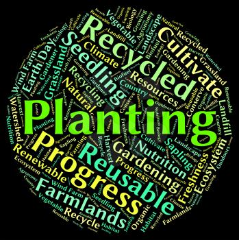 Planting Word Indicating Sows Cultivate And Plants