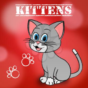 Kittens Word Meaning Domestic Cat And Pedigree