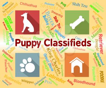 Puppy Classifieds Indicating Doggie Media And Pups