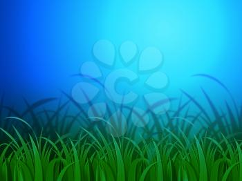 Horizon Background Meaning Clear Lawn And Environment
