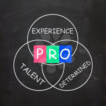 PRO On Blackboard Meaning Great Experience Talent And Excellence