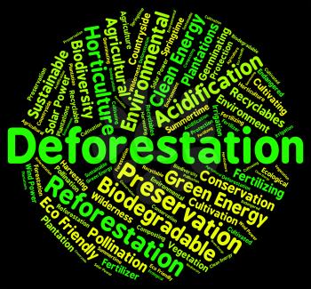 Deforestation Word Indicating Clear Deforesting And Deforests