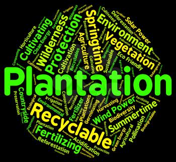 Plantation Word Indicating Farmstead Farm And Words