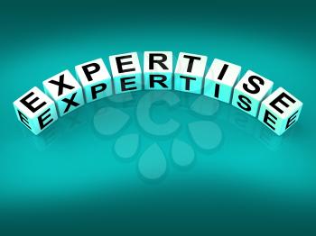 Expertise Blocks Meaning Expert Skills Training and Proficiency