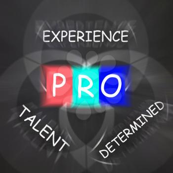 PRO On Blackboard Displaying Great Experience Talent And Excellence