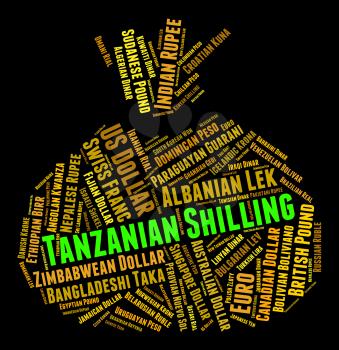 Tanzanian Shilling Representing Foreign Exchange And Coinage