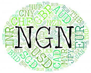 Ngn Currency Meaning Nigerian Nairas And Coinage