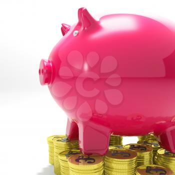 Piggybank On Coins Shows International Economy And Revenues