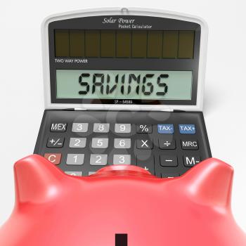 Savings Calculator Showing Wealth Investment In Capital And Cash