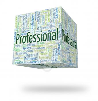 Professional Word Meaning Professionals Wordclouds And Proficiency