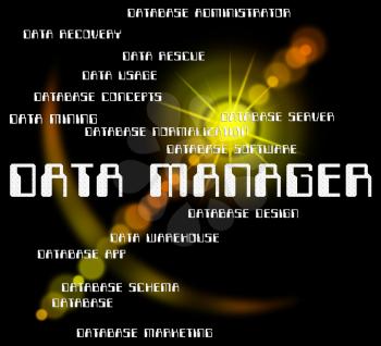 Data Manager Meaning Text Information And Managers