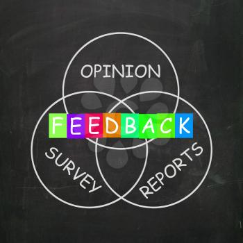 Feedback Giving Reports and Surveys of Opinions