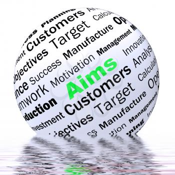 Aims Sphere Definition Displaying Business Goals targets And Objectives